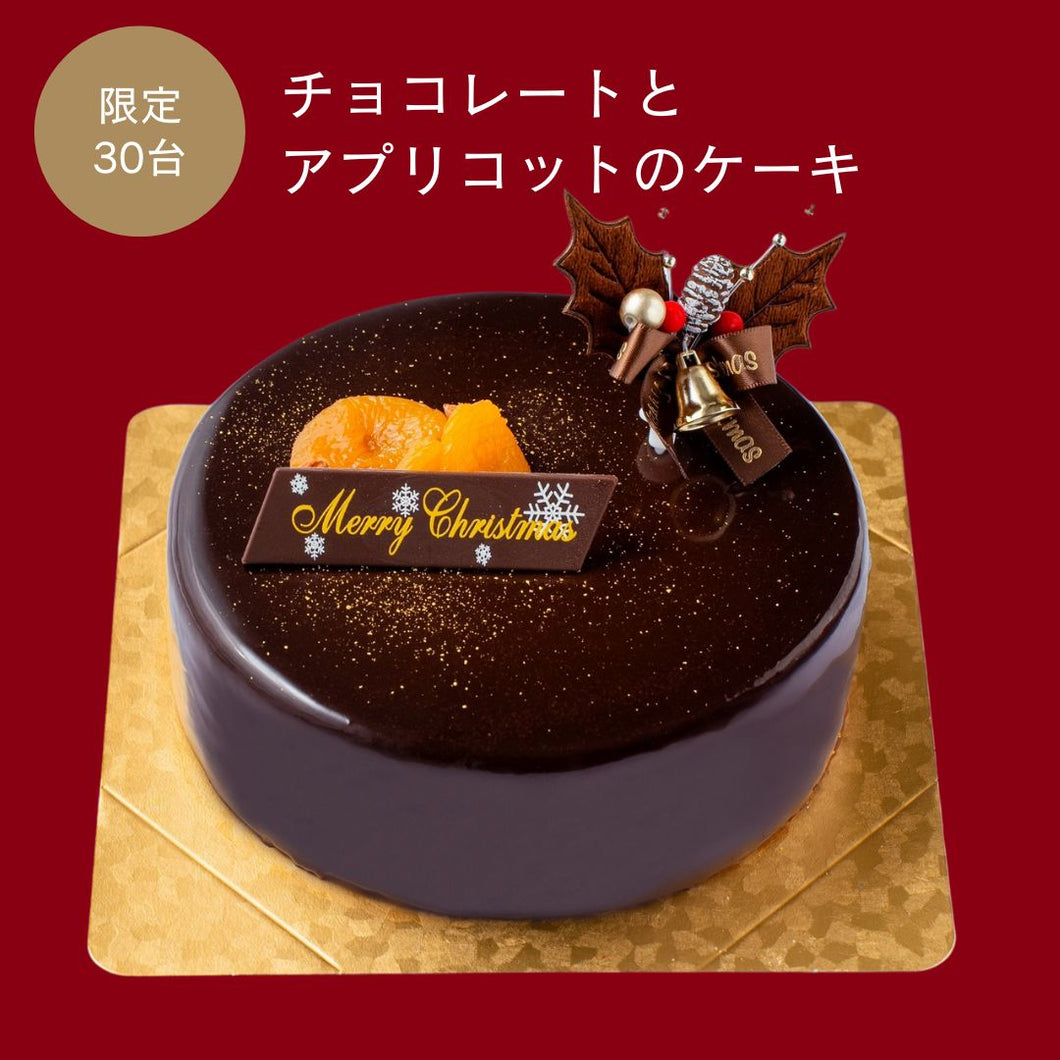 【30台限定】チョコレートとアプリコットのケーキ